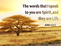 Life in the Spirit